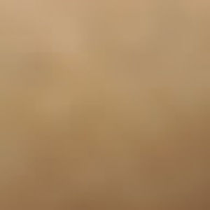 Meet your Posher, Franklin